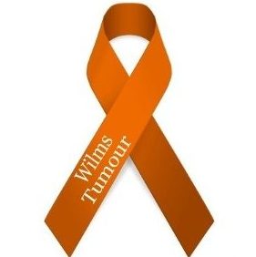 Wilms Tumour Awareness Ribbon